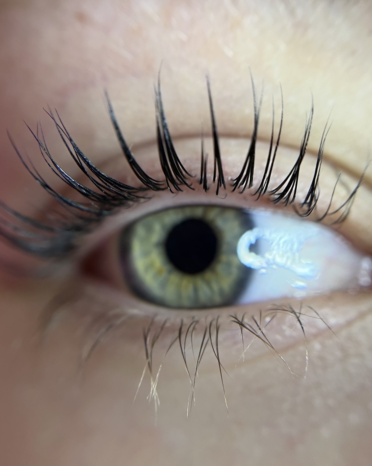 Gekrulde wimpers boven een lichtgroen oog