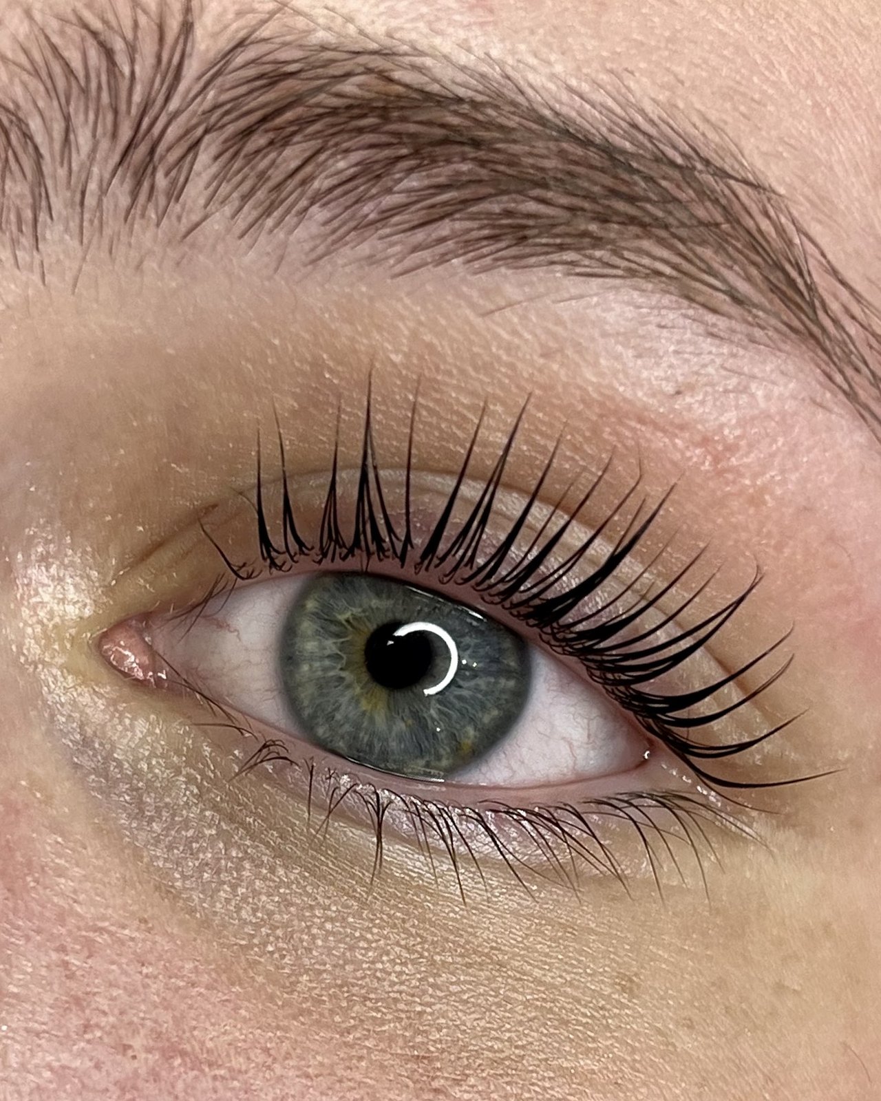 Lashlift met verzorgde wenkbrauw boven een grijsgroen oog